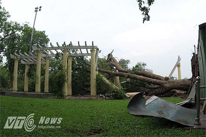 Đã hai ngày sau cơn dông lịch sử của Hà Nội, Công viên Thống nhất (quận Hai Bà Trưng, Hà Nội) vẫn ngổn ngang cây đổ bịt kín lối đi. 
