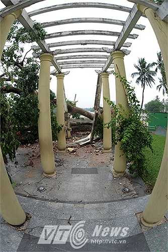 Những hàng cột tại khu vực quảng trường trong công viên Thống Nhất bị cây đổ đè sập gần hết.