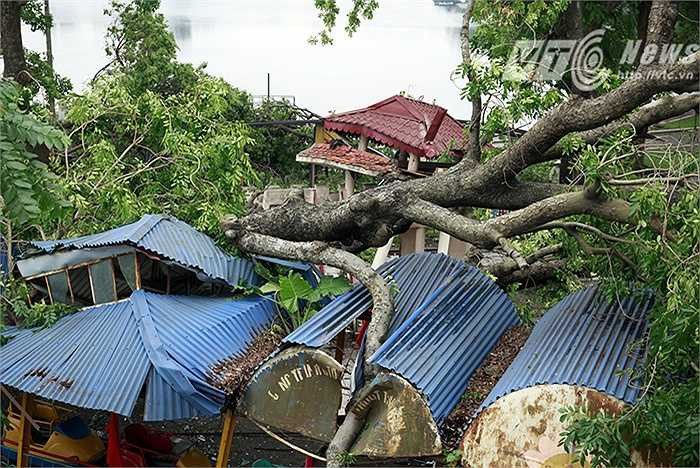 Thiệt hại nặng nhất là khu tàu điện cao tốc và góc sân khấu, hai nơi này bị sập hoàn toàn do cây cổ thụ đổ vào.