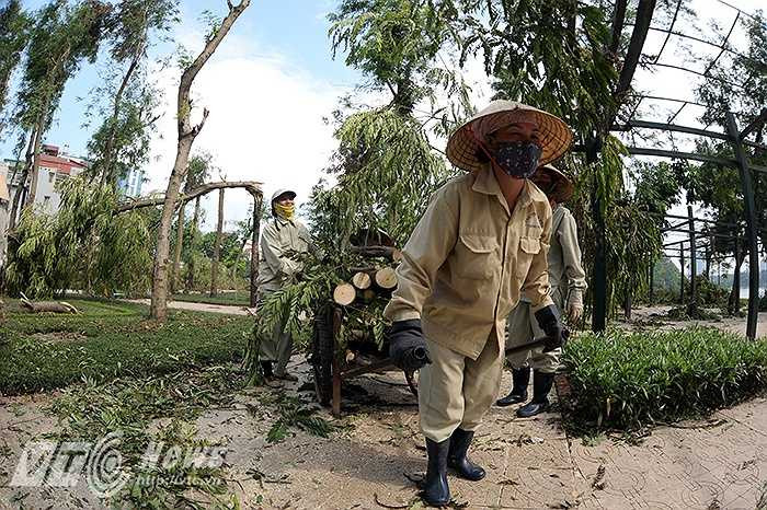 Những người công nhân của Công ty Công viên Thống Nhất cho biết, họ đã được huy động 100% quân số và tăng giờ làm thêm 2 tiếng mỗi ngày để gấp rút hoàn thành công việc.