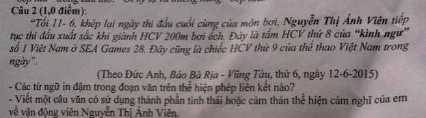 Ánh Viên xuất hiện trong đề thi Ngữ văn