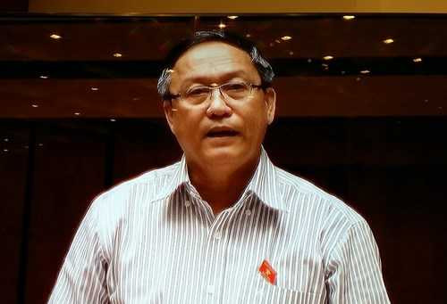 Đại biểu Đỗ Ngọc Niễn