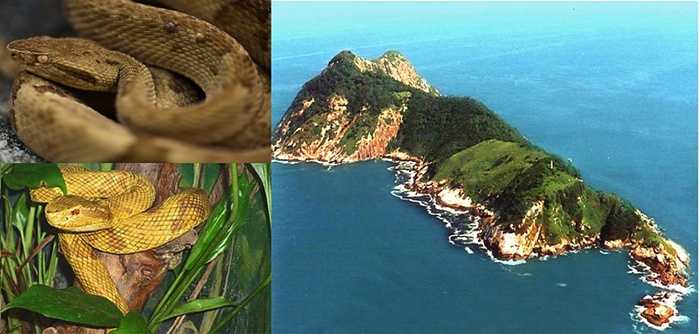 Đảo rắn. Hòn đảo rắn rộng lớn này là nơi sinh sống của rất nhiều loài rắn độc và khiến người dân phải hết sức cẩn thận. Phần lớn cư dân đã di chuyển tới một địa điểm thay vì ở lại đối mặt với nguy cơ chết người hàng ngày hàng giờ