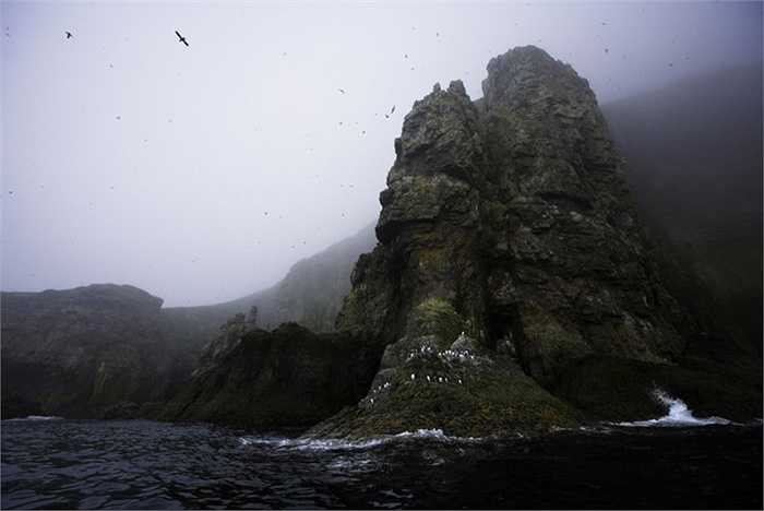 Đảo Bjørnøya. Hòn đảo gần như là cực Bắc của châu Âu. Vị trí xa xôi hẻo lánh và địa hình của nó không hề bằng phẳng với các vách đá cao, dựng đứng. Ngoài ra, vụ đắm tàu ngầm Komsomolets của Xô-viết cũng khiến gây ảnh hưởng tới môi trường của khu vực này