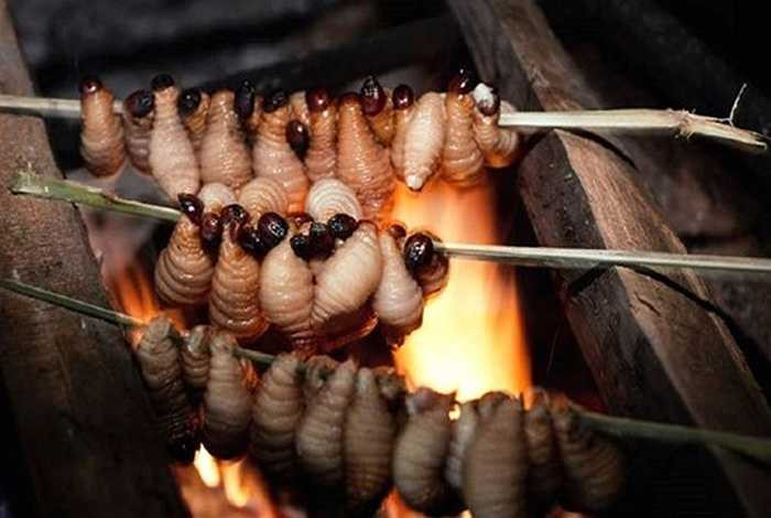 Đuông có thể chế biến các món nướng, xào thậm chí chấm mắm ăn sống. Với nhiều người đây là món khoái khẩu, nhưng một số người thấy đuông khá 'kinh dị'. 