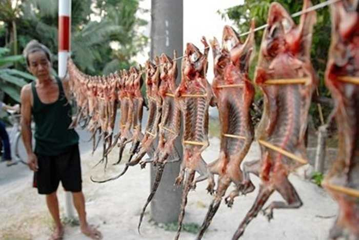 Nếu không phải dân nhậu hoặc mê những loại đặc sản độc lạ, hẳn nhiều người phải cân nhắc khi định mua khô thằn lằn, khô tắc kè miền Tây vì chúng có hình dáng khá 'dị'.