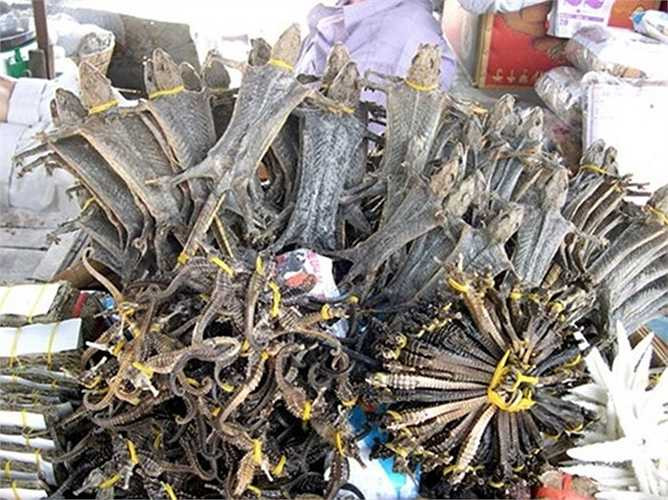 Thằn lằn sống được đem xẻ thịt phơi khô, bán rất được giá. Trung bình mỗi con thằn lằn khô được bán với giá 50.000 - 60.000 đồng.