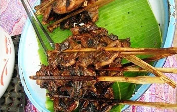 Hai loại dơi là sơi sen và dơi quạ được dân miền Tây bắt rất nhiều vào mùa trái cây chín để chế biến thành các món ăn. Người miền Tây cho rằng bắt dơi vào mùa hoa quả thì dơi sẽ mập.