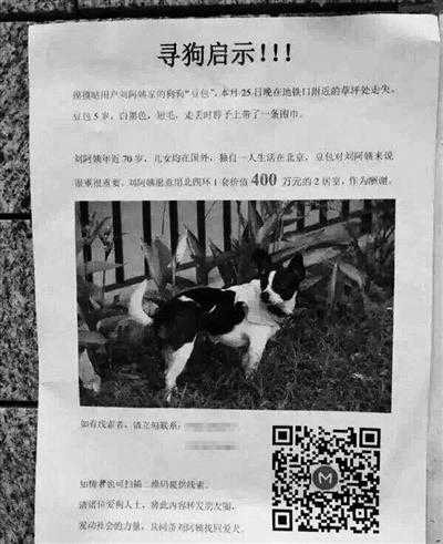 Những kiểu chi tiền tấn để tìm thú cưng của các quý bà đơn thân