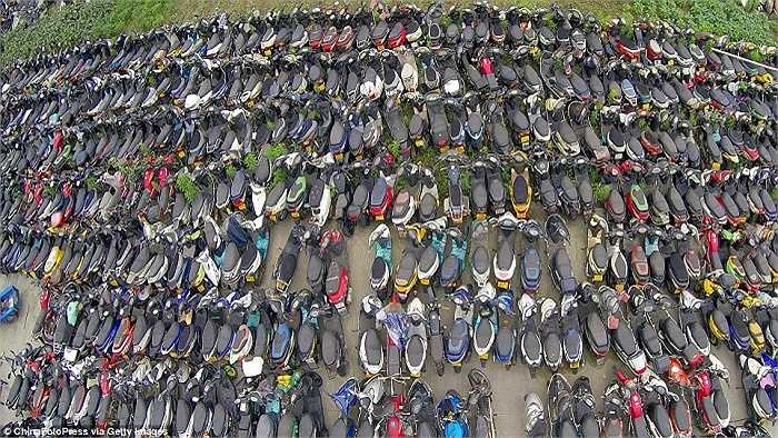 Hầu hết những chiếc xe này bị tịch thu do vi phạm giao thông và tập kết ở đây 