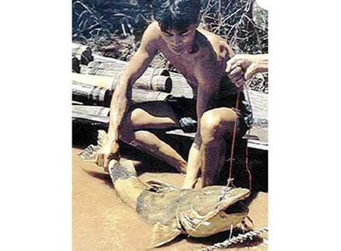 Lão ngư, bí kíp, câu cá, tiến vua, thượng nguồn, sông Mã