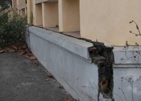 Trường THCS Cao Xanh 