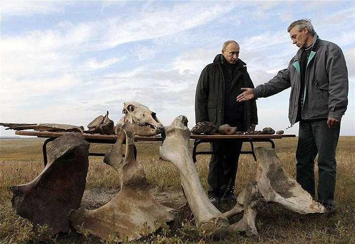 Ông Putin chăm chú nghe một nhà khoa học nói về bộ xương khai quật được trên đảo Samoilovsky