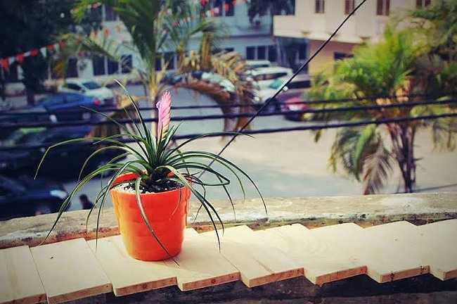 Đứng từ ban công tầng 2 có thể nhìn thấy một góc khuôn viên trường Đại học Ngoại thương.