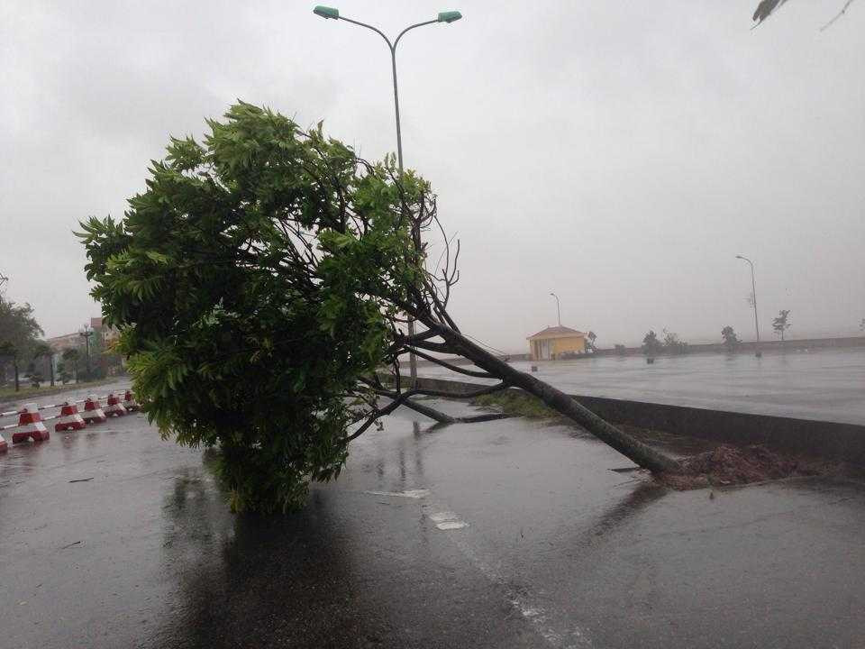 Bão giật cấp 12 đổ bộ vào Quảng Ninh - Hải Phòng