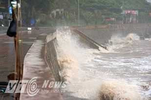 Bão giật cấp 12 đổ bộ vào Quảng Ninh - Hải Phòng