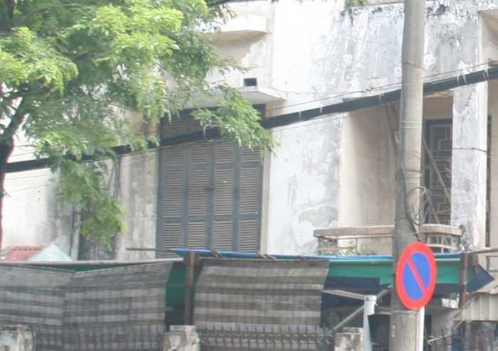 Phần mái rêu phong và mọc nhiều cây