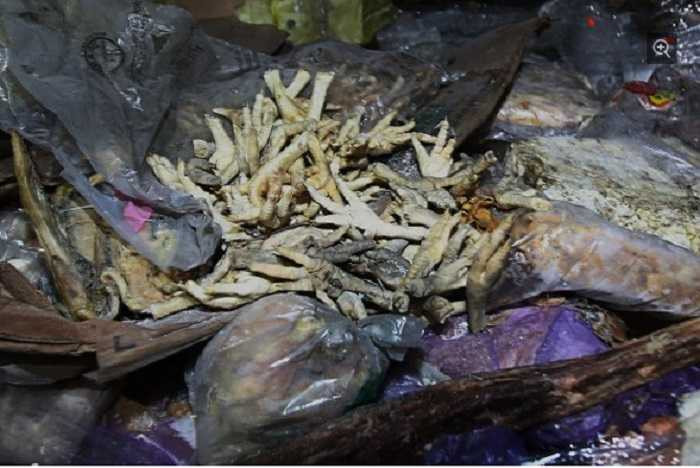 Trung Quốc rúng động vụ thịt đông lạnh quá hạn 40 năm