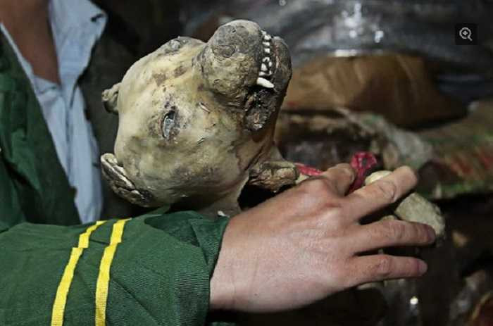 Trung Quốc rúng động vụ thịt đông lạnh quá hạn 40 năm