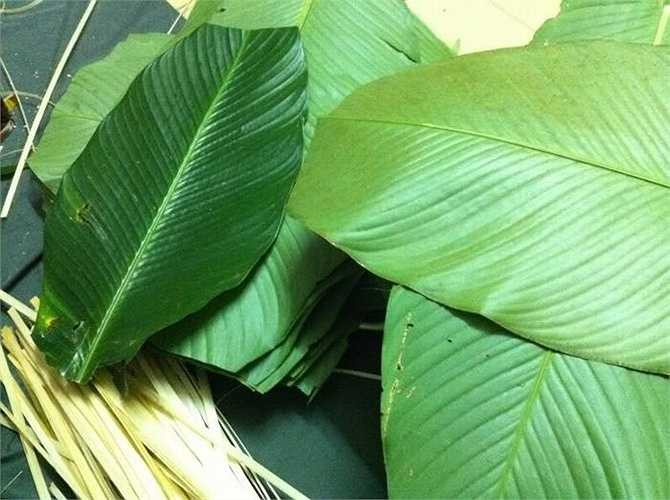 Lá dong (dùng để gói bánh chưng) 100-200g, rửa thật sạch, giã nát vắt lấy nước cốt pha đường uống.