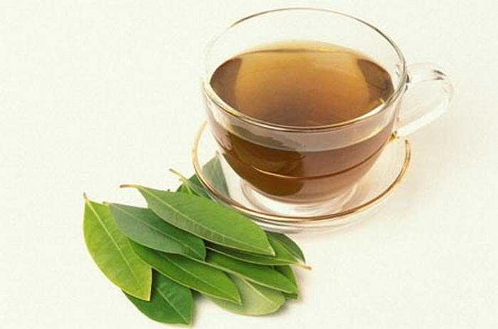 Trà búp 5g, quất khô (có thể dùng mứt quất hoặc quất tươi cũng được) 16g, thái nhỏ. Hai thứ hãm với nước sôi uống. 