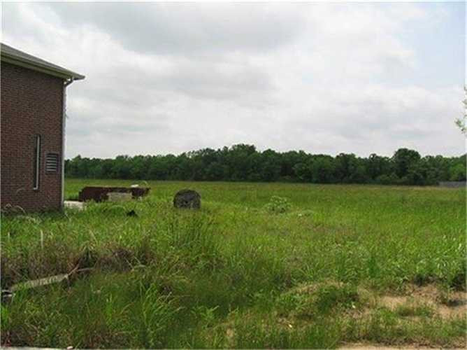 Sau nhiều năm bị bỏ hoang, cỏ xung quanh nhà mọc xanh um.