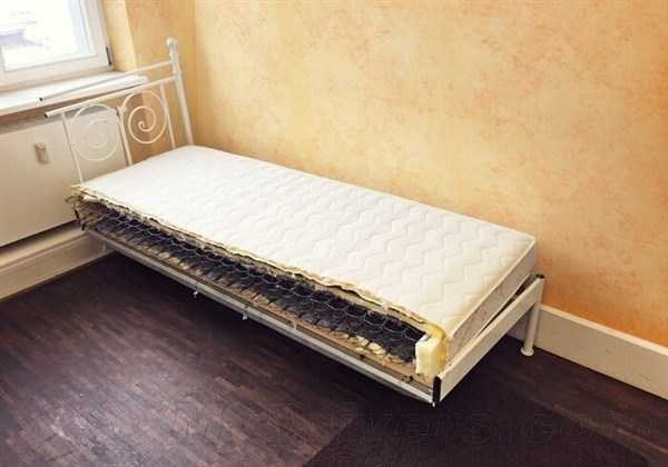 Cái kết bất ngờ của những vụ 'phá hoại tài sản' gây rúng động thế giới