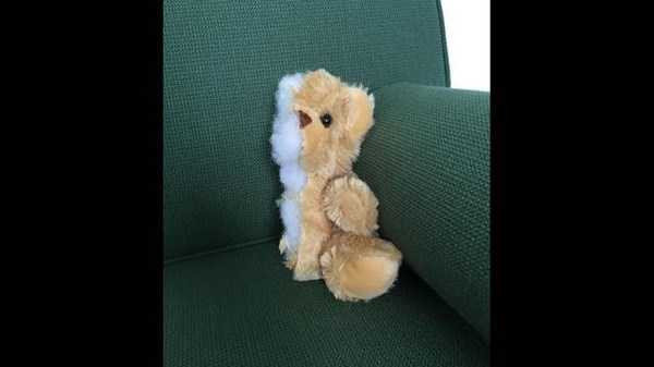 Cái kết bất ngờ của những vụ 'phá hoại tài sản' gây rúng động thế giới