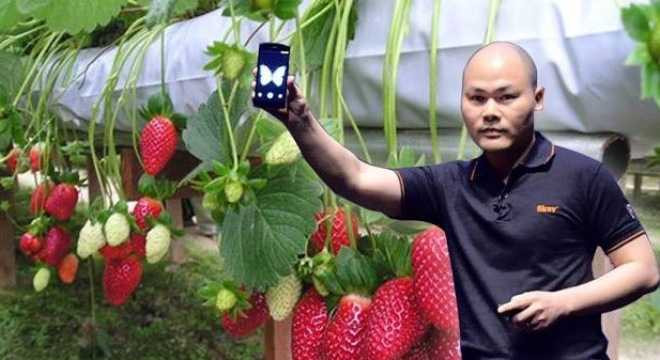 Bphone của chúng em đâu, anh Quảng?