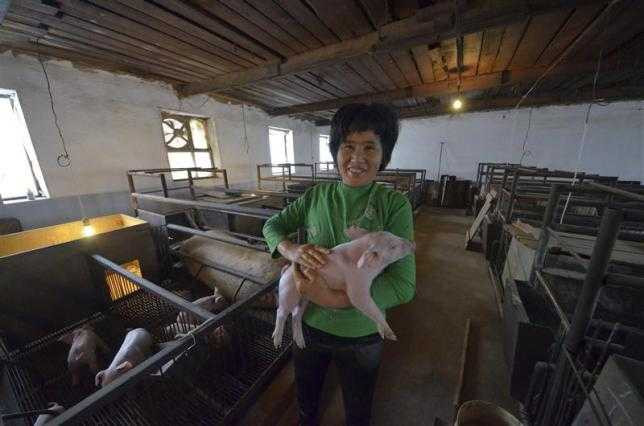 Trung Quốc thuê hàng trăm ngàn ha đất nông nghiệp ở Nga