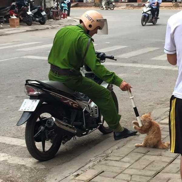 cảnh sát đùa với mèo