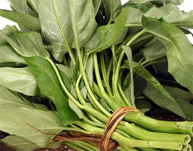 Rau muống chứa magiê, folate, kali và chất xơ có trong rau muống sẽ giúp bạn rất nhiều trong việc duy trì mức huyết áp khỏe mạnh.