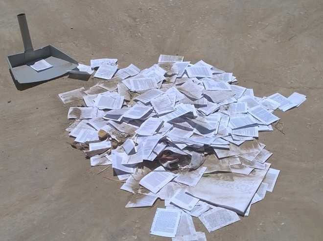 Phao thi rải trắng cổng trường sau môn Ngữ Văn