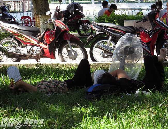 Thương lắm những giấc ngủ vội trên bãi cỏ chờ con