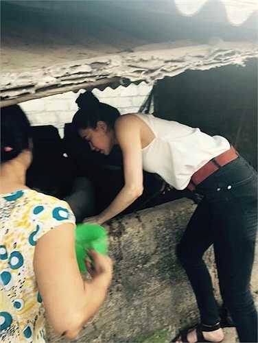 Trong đó, hình ảnh gây bất ngờ là cảnh Hồ Ngọc Hà tự tay xách cám cho lợn ăn. Hồ Ngọc Hà thậm chí không ngại bẩn và giúp người dân tắm rửa cho lợn. 