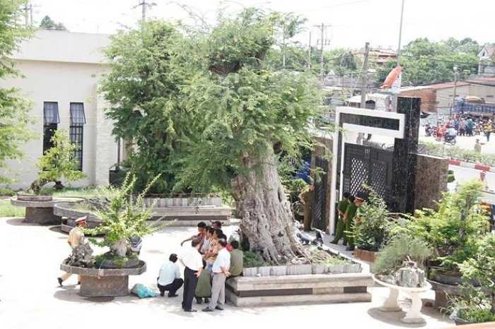 Ít nhất 30 người của Cục cảnh sát Hình sự (C45 - Bộ Công an), Viện Khoa học Hình sự, VKS và Công an Bình Phước đang phối hợp khám nghiệm hiện trường, truy tìm dấu vết hung thủ - Nguồn ảnh: Tuổi trẻ.