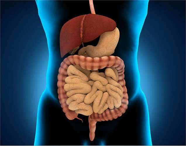 11. Tác dụng trên thận: Thận bị ảnh hưởng bởi oxalat & phytoestrogens có trong các sản phẩm đậu nành. Oxalat gây sỏi thận, trong khi hàm lượng phytoestrogen có thể gây suy thận. 