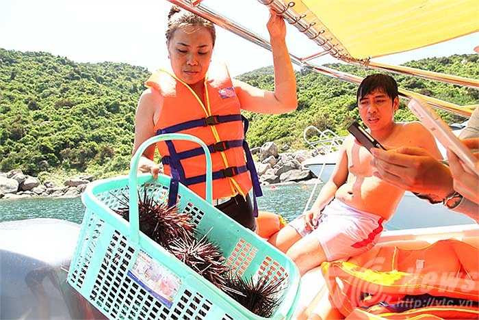 Hay những con cầu gai đầy bí hiểm