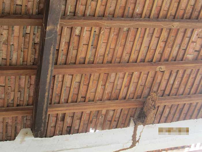 THPT Châu Văn Liêm