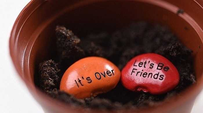 Hạt đậu này rất dễ thích nghi với môi trường và thời tiết. Ngâm hạt vào trong nước trong vòng 15 – 20 phút để hạt hút nước và trương phồng lên sau đó, để hạt đậu nằm ngang trên bề mặt đất (không cần vùi sâu). 