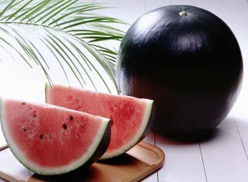 Những món ăn mỗi lần 'động đũa' mất tới cả trăm triệu đồng