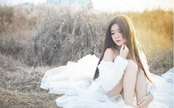 Nguồn: Dân Việt