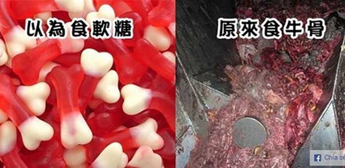 Thông thường nguyên liệu chính để làm những viên kẹo dẻo, chip chip là mạch nha, tinh bột, các chất tạo màu, tạo hương và đặc biệt là không thể thiếu gelatin.