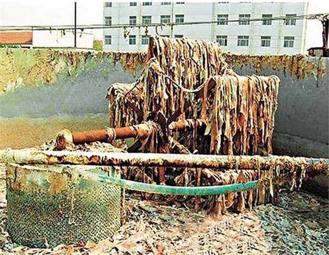 Theo các chuyên gia thì gelatin được phép sử dụng trong việc chế biến thực phẩm, tuy nhiên một số công ty bánh kẹo ở Đài Loan vì muốn tiết kiệm chi phí và hám lời nên đã thu mua một lượng lớn xương hoặc da động vật thối để làm gelatin.