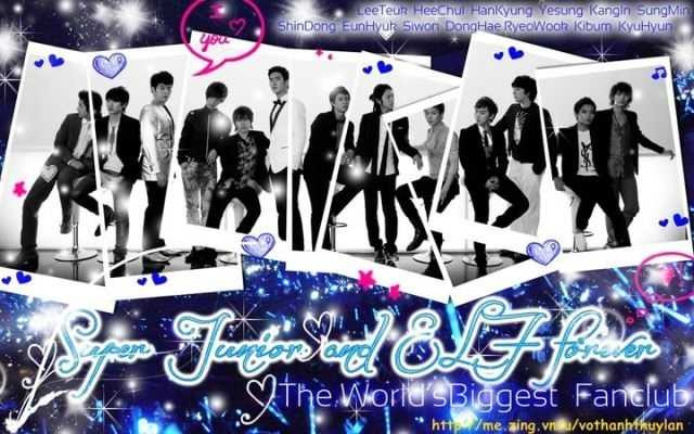 super junior