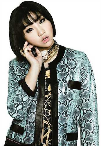 Cô nàng Minzy của nhóm nhạc 2NE1 từng thừa nhận sửa mũi 