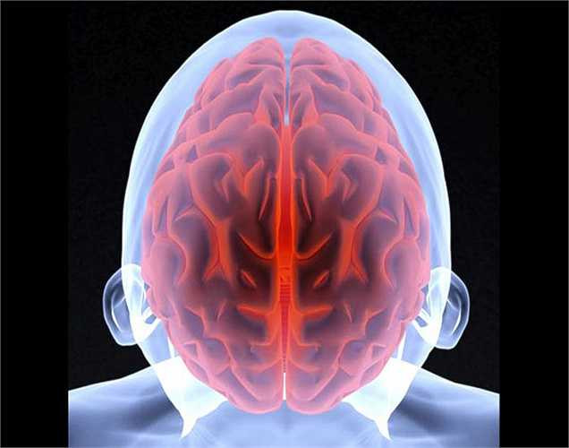 Một nghiên cứu gần đây được tiến hành trên chuột đã chứng minh rằng tập thể dục giúp kích thích sự tăng trưởng của các tế bào trong các mô não. 