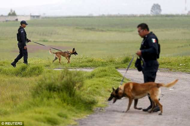 Những lần vượt ngục như phim kinh dị Hollywood của trùm ma túy Mexico