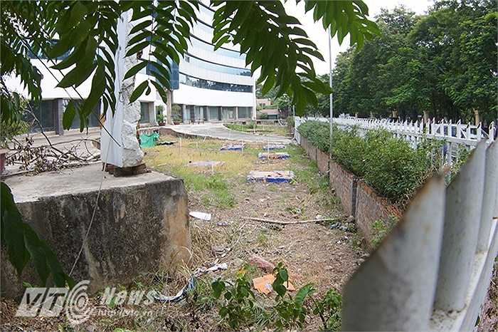 Cỏ dại mọc um tùm, mùa mưa nước không thoát được, cây chết ở đây có mùi rất khó chịu, sinh ra nhiều ruồi, muỗi, côn trùng, làm ảnh hưởng rất nhiều tới cuộc sống người dân tại đây.