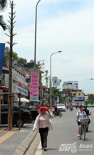 Người dân phải đi bộ dưới cái nắng như đổ lửa giữa trưa hè vì hàng cây mỡ không có khả năng mang lại bóng mát.